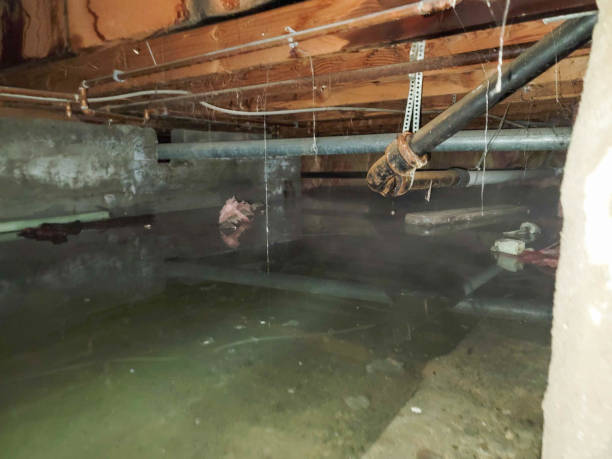 Best Flood restoration services  in Tyler Run, PA