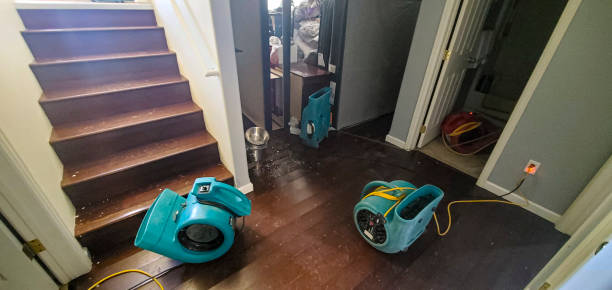 Best Mold removal after water damage  in Tyler Run, PA