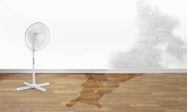 Best Basement water damage restoration  in Tyler Run, PA