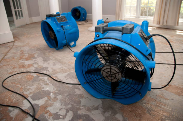Best Flood damage cleanup  in Tyler Run, PA