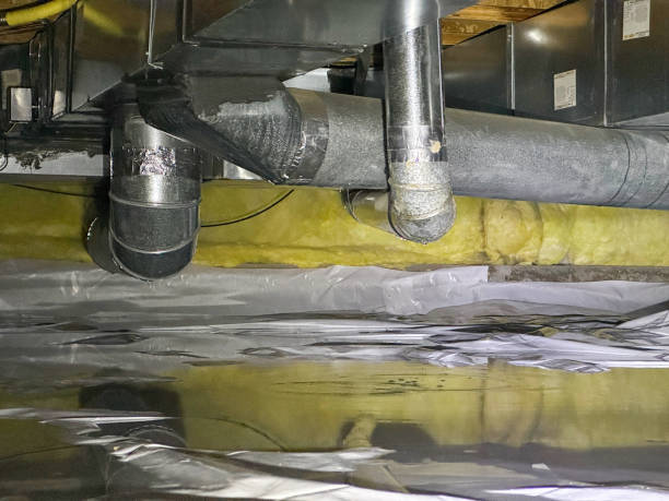 Best Mold removal after water damage  in Tyler Run, PA